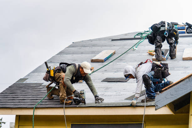 Professional Roofing technician working in Martelle, IA